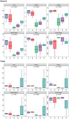 Diversity of endophytic bacterial and fungal microbiota associated with the medicinal lichen Usnea longissima at high altitudes